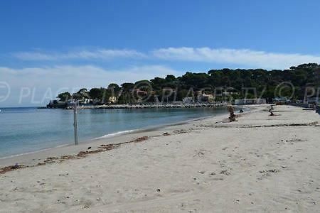 Studio au calme entierement renove Antibes Exterior foto